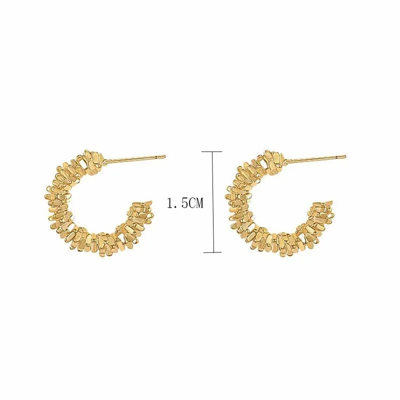 Irregular C Shape Earrings